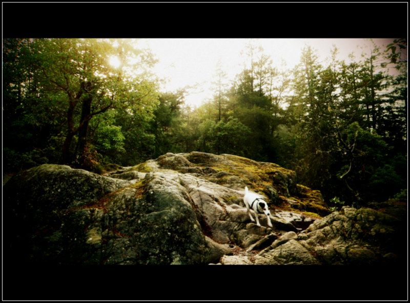 MtWork2012010.jpg