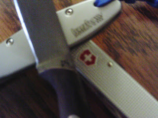 IMAG0204.JPG