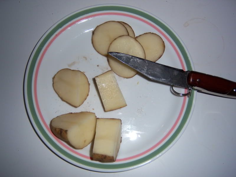 Okapi023.jpg