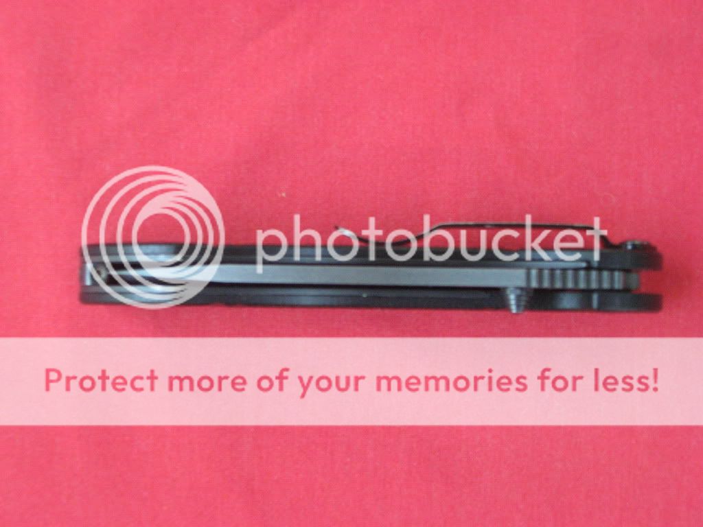 672005.jpg