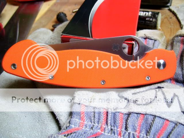 100_1154.jpg