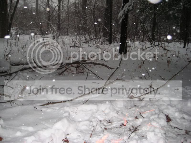 snow029.jpg