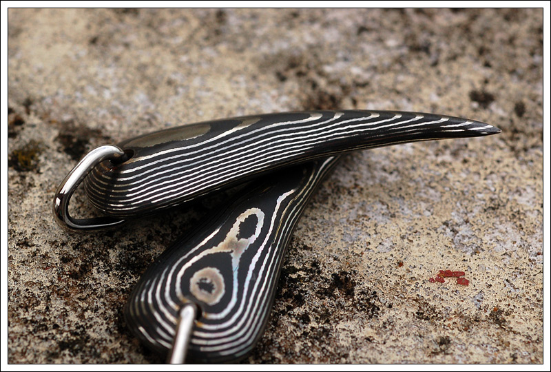 271109claws9.jpg
