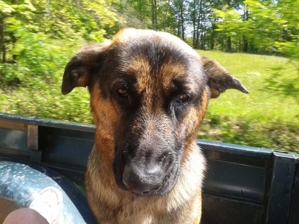 2012-04-29151345.jpg