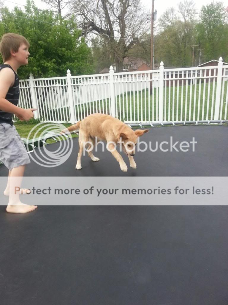 2014042795183141_zps7b29b948.jpg