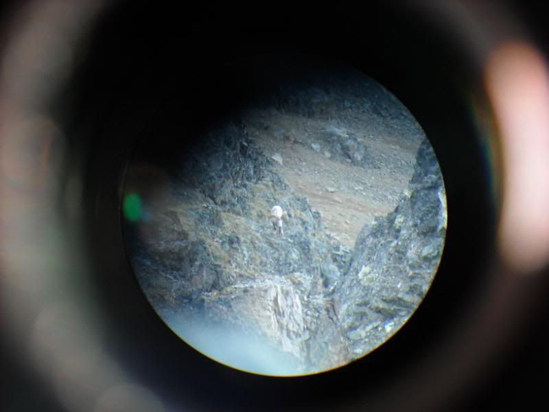 DSCN0480.jpg