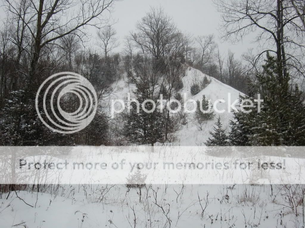CIMG0574.jpg