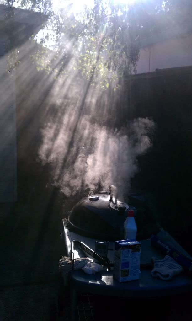 IMAG0965.jpg