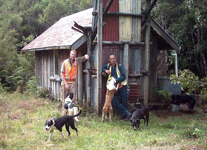 te-mata-hut.jpg