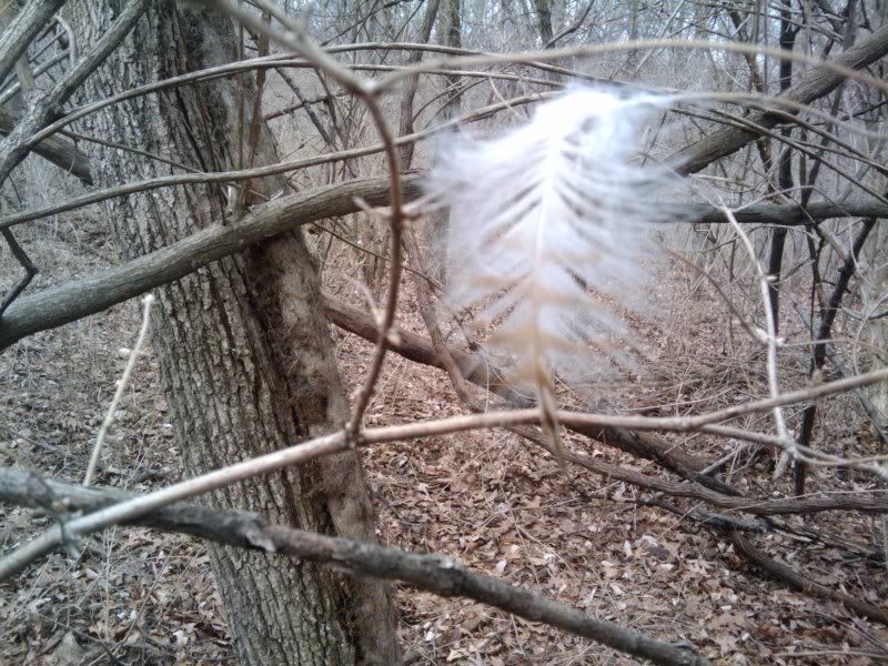 2011-03-18125557.jpg