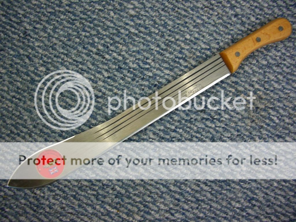 CIMG8849.jpg