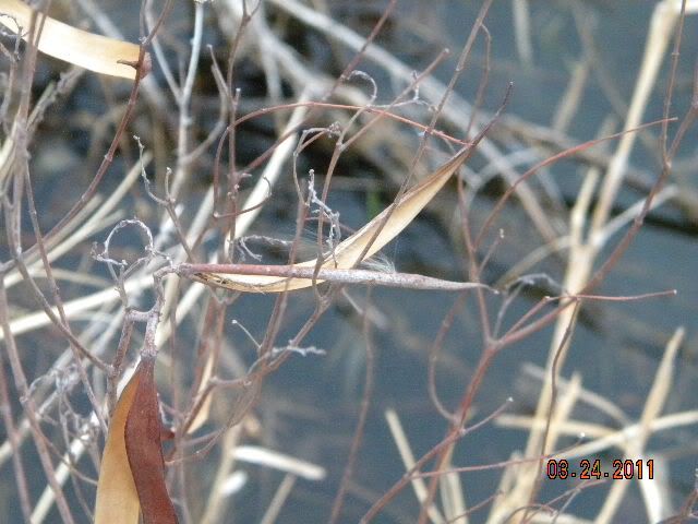 DSCN3494.jpg