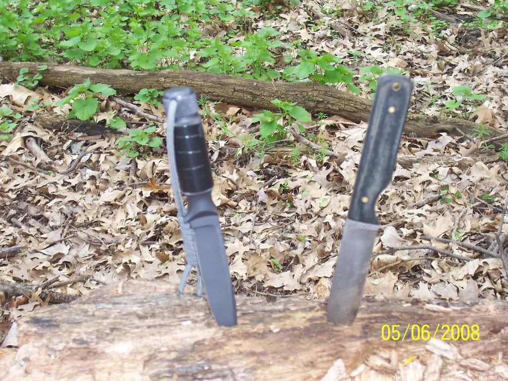 Passaroundandothers077.jpg