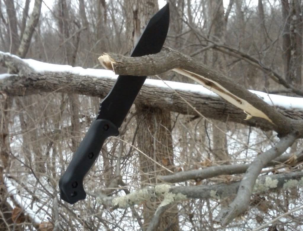 20110115_dc_02.jpg