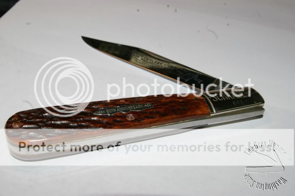 IMGP3730.jpg