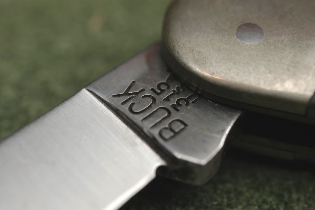 Buck315Ausschn.jpg