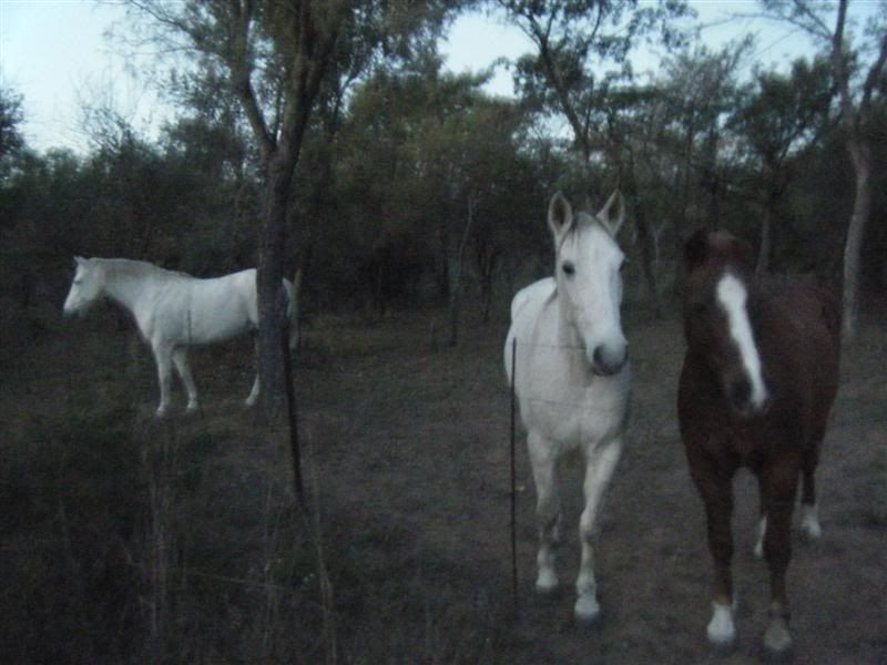 DSCF2399Medium.jpg