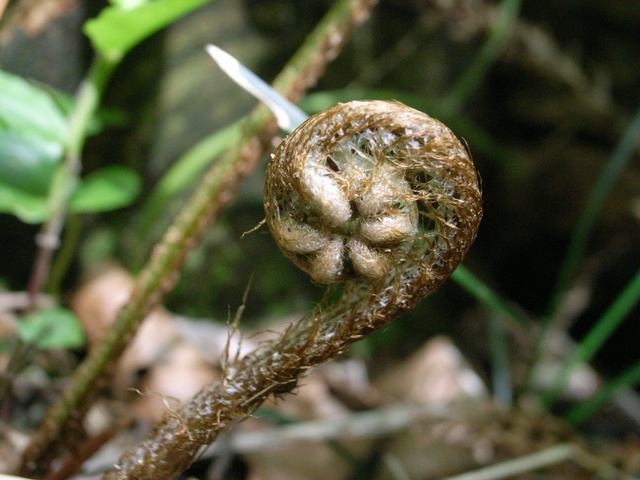 2011.05.30.R0024042.JPG