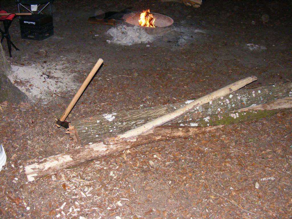 hoghuntfed2009013.jpg