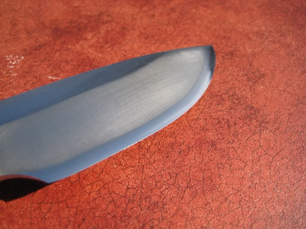 SwampRat-HowlingRatedgepic1c-2.jpg