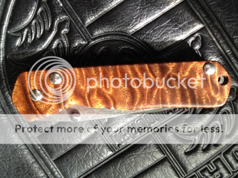 IMG_0767800x600.jpg