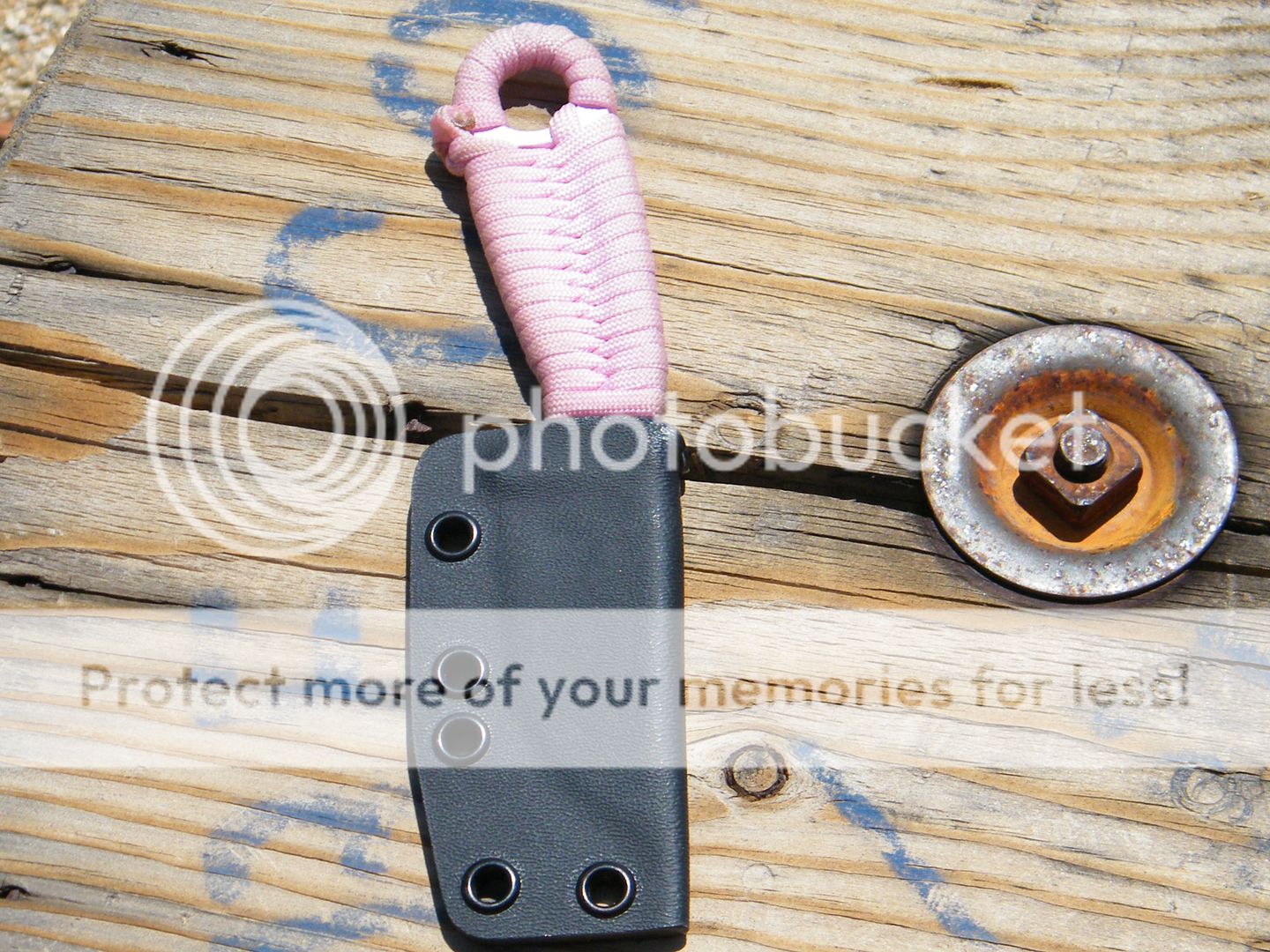 DSCF7781.jpg