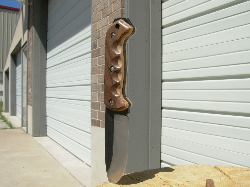 DSCN1545.jpg