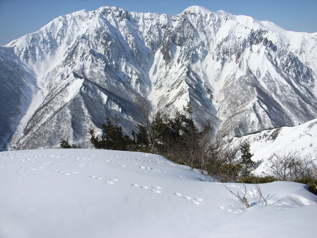 2011.02.27.R0023416.JPG