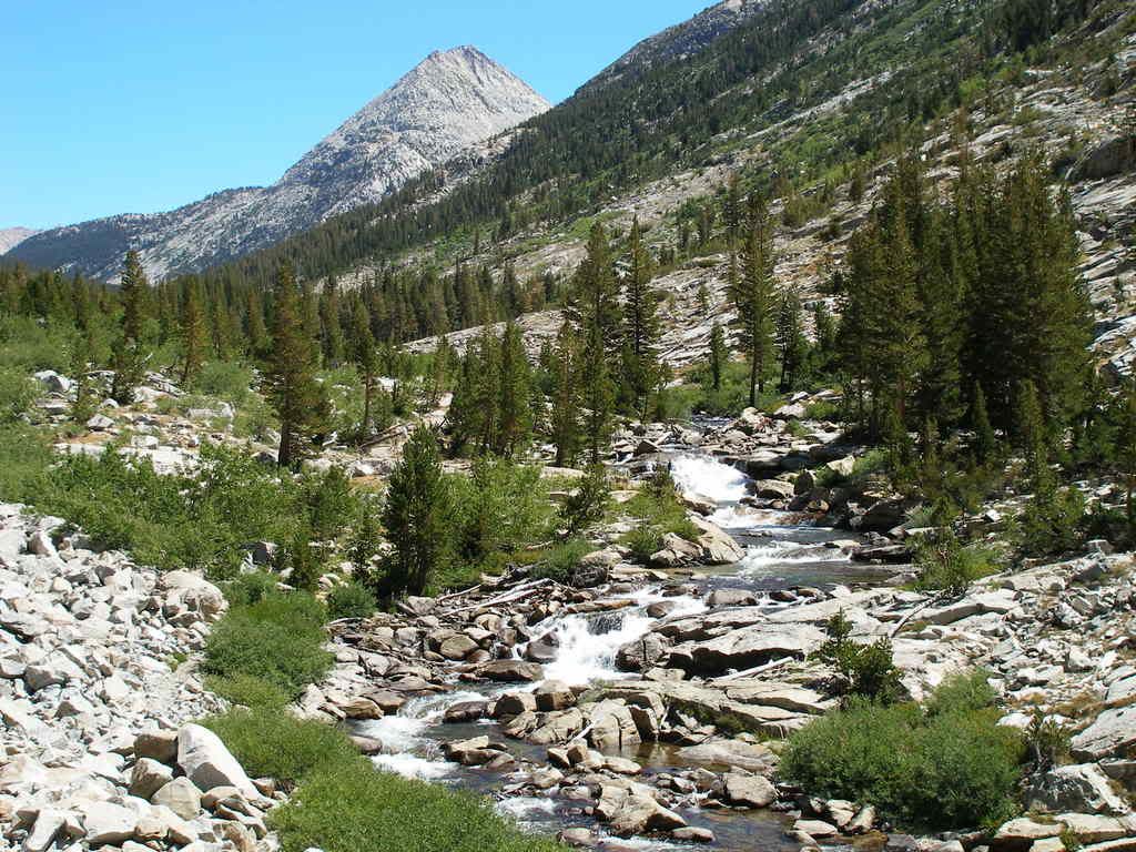 KingsCanyon2008138.jpg
