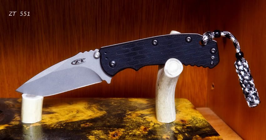 __web-ZT05511.jpg