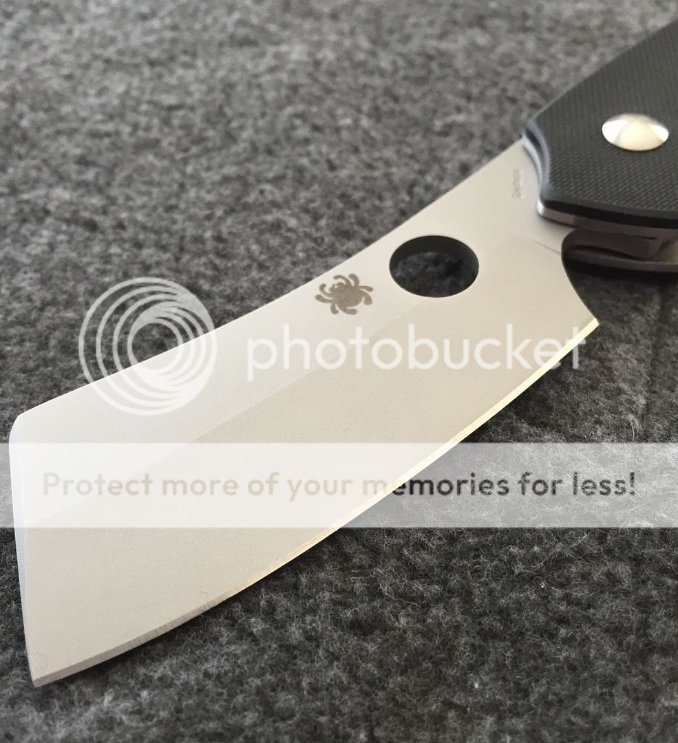 IMG_0231_zpshpytr4qc.jpg