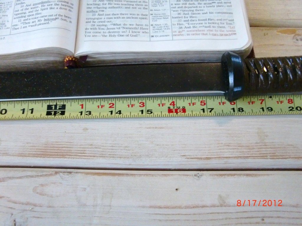 CIMG2590.jpg