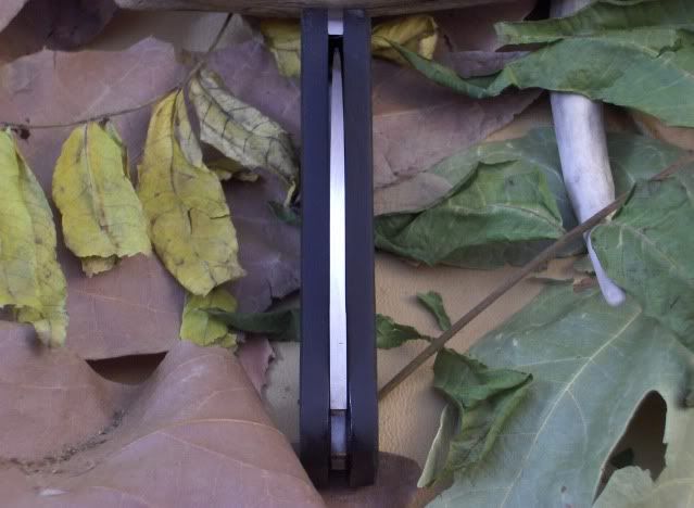 G10Folder030.jpg