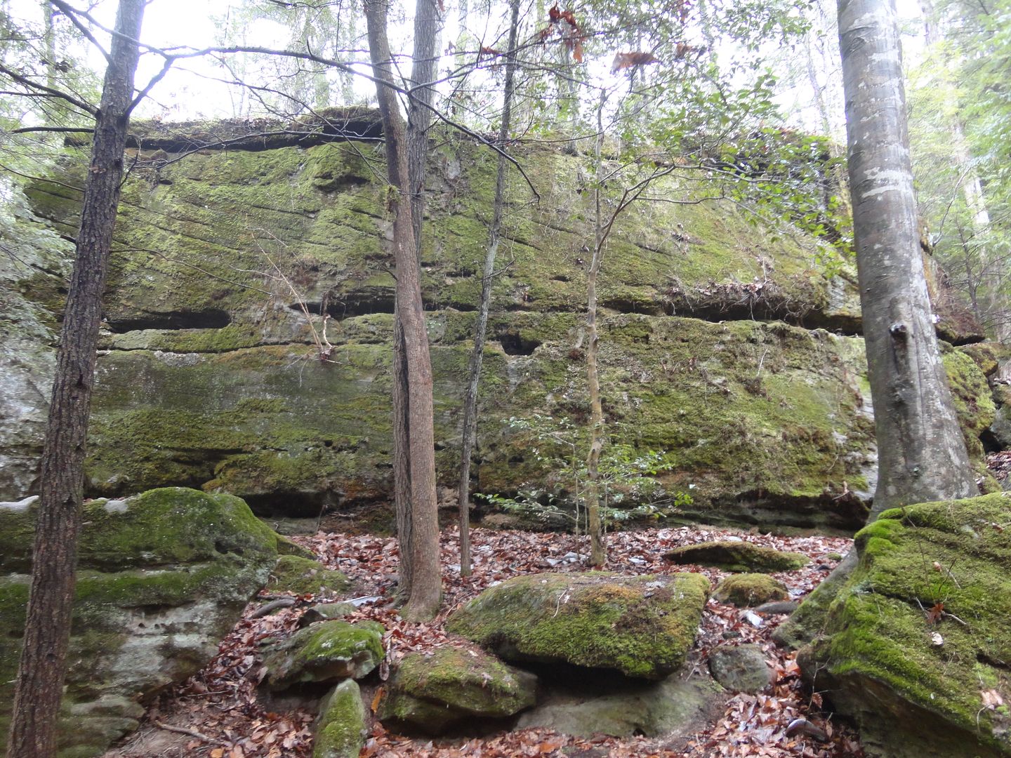 DSC08380_zpsn2ezbqsp.jpg
