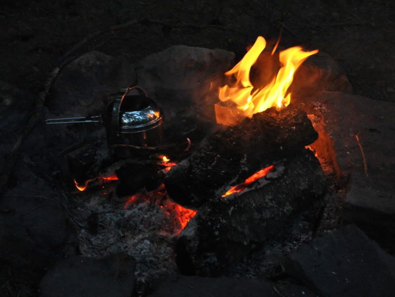 DSC_0802.jpg
