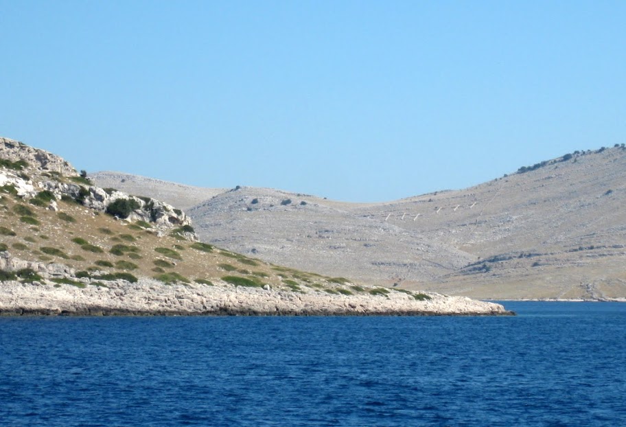 IMG_9059.JPG