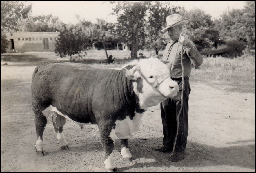 GPA_zpsb29992d3.jpg