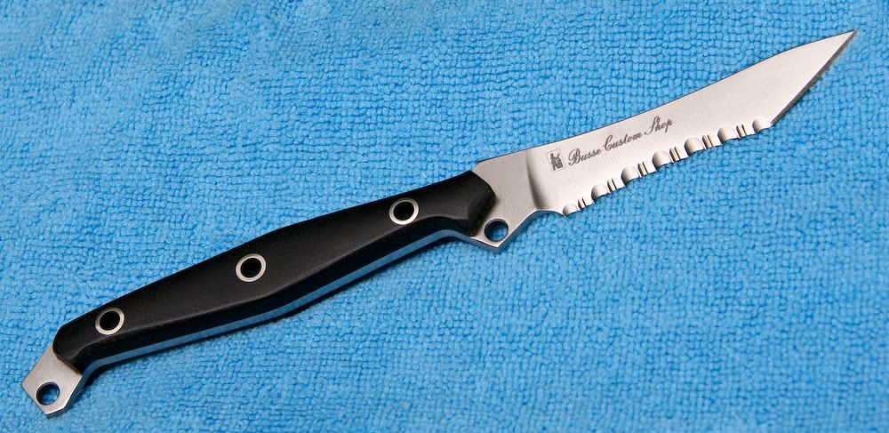 Busse-Shiva_Rex1.jpg