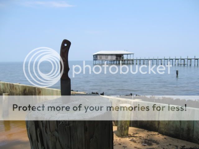 IMG_2761.jpg
