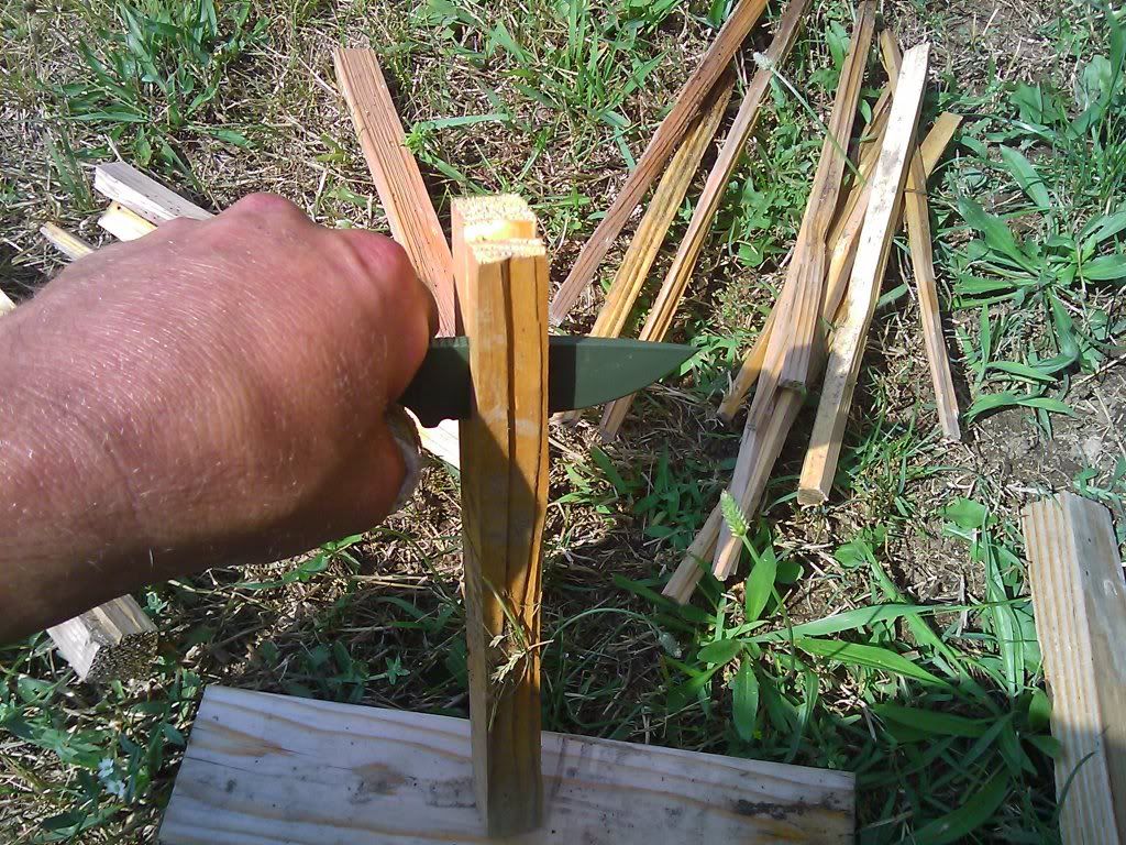 IMAG0140.jpg