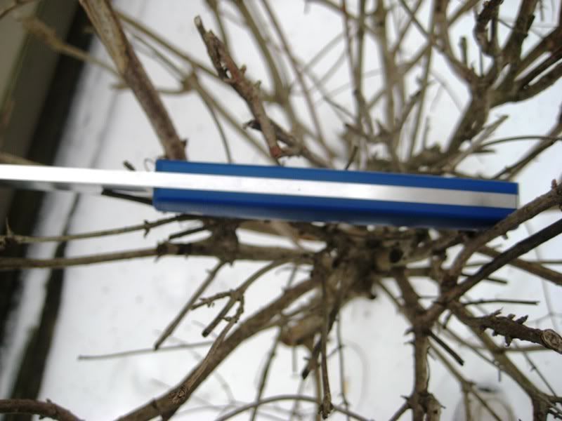 Laconico005.jpg