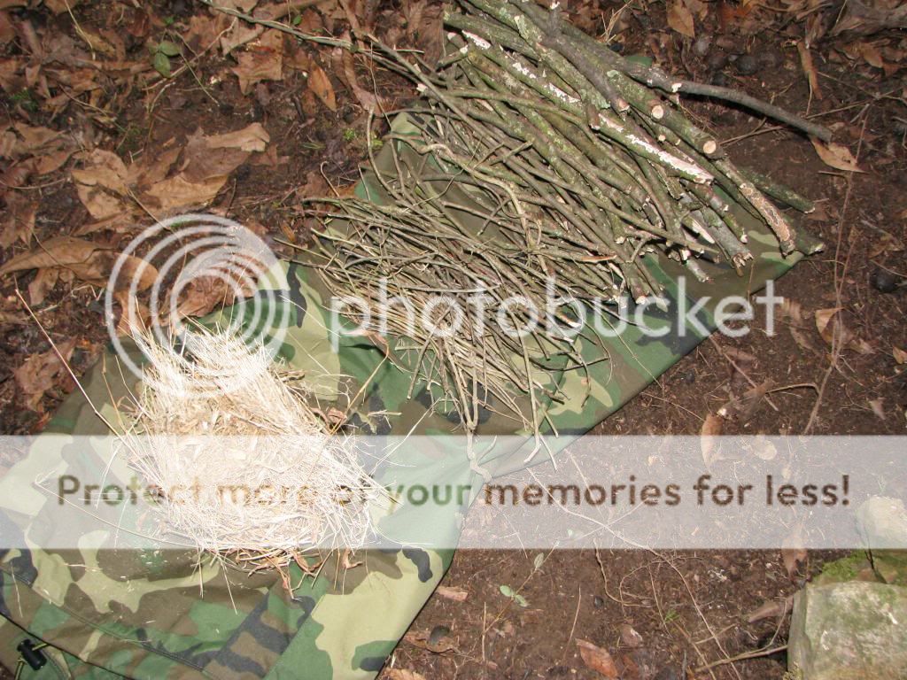 IMG_3376_zpscb924dab.jpg