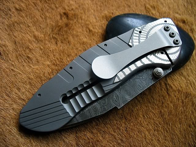 elishewitz003.jpg