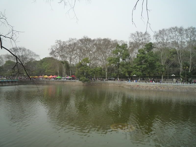 P1050206.jpg