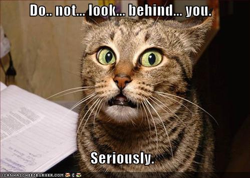 lol-cats-dont-look-behind-cat.jpg