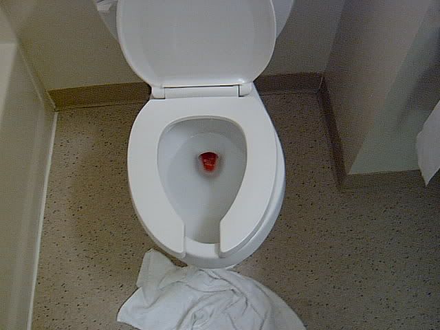 ToiletFogoAftermath.jpg