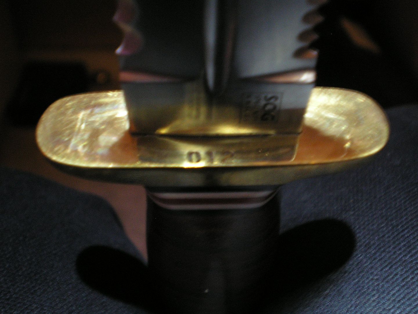 P1010273.jpg