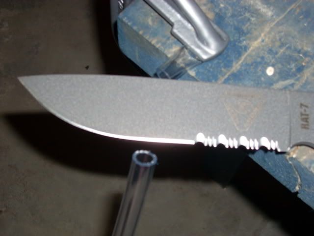 DSCN1321.jpg