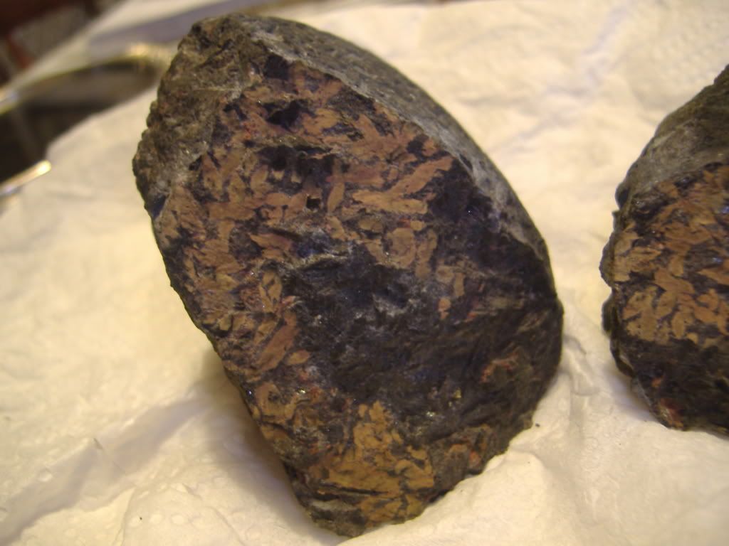 DSCF0946.jpg