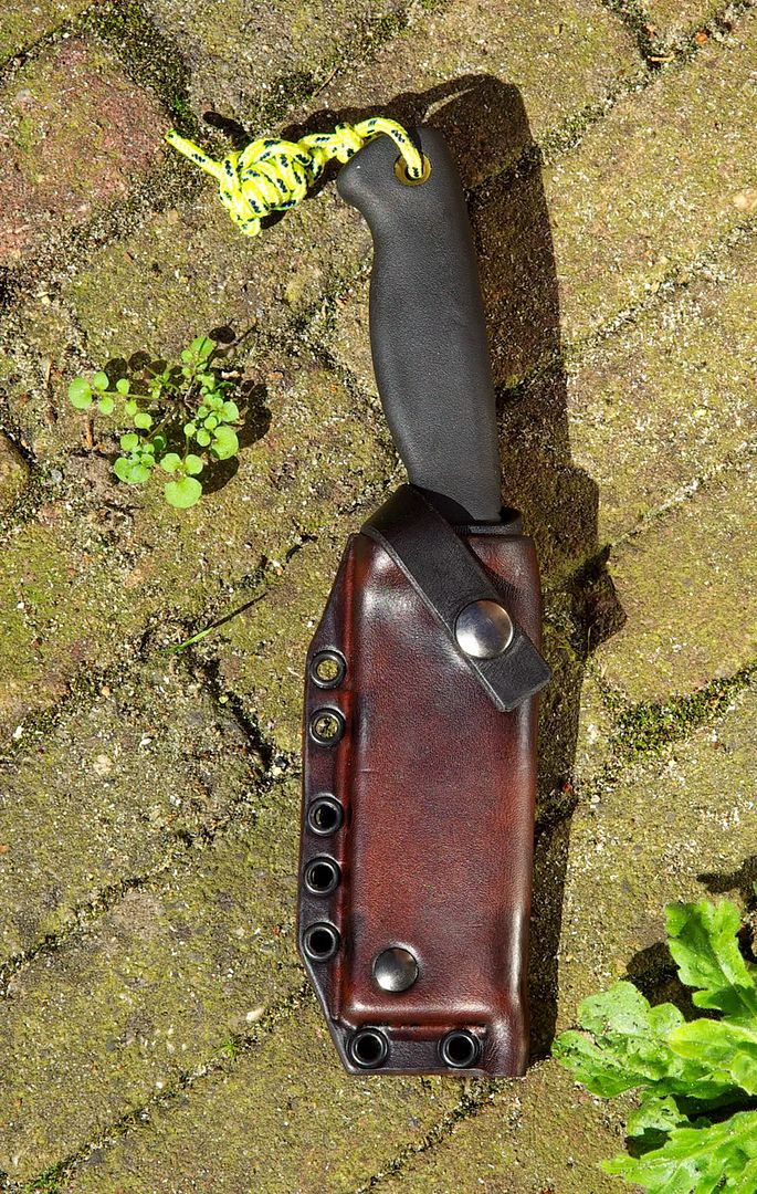 Bandicoottechnicalsheath01.jpg